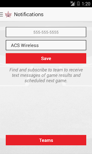 New York Elite Baseball Screenshot 3