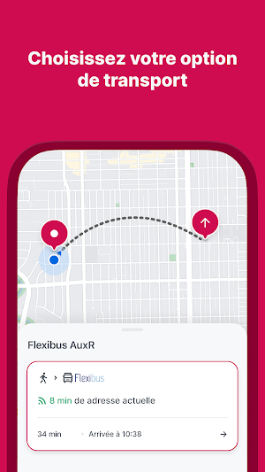 AuxR Flexibus Screenshot 1