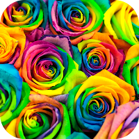Colorful Wallpaper 2023