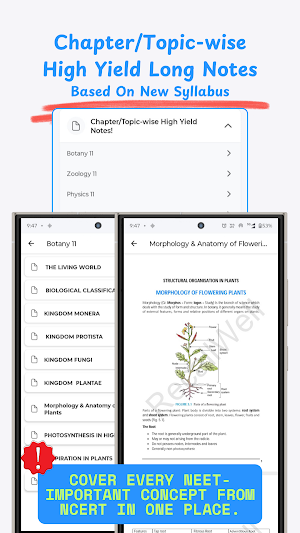 RecallWell – NEET Flashcards Screenshot 2