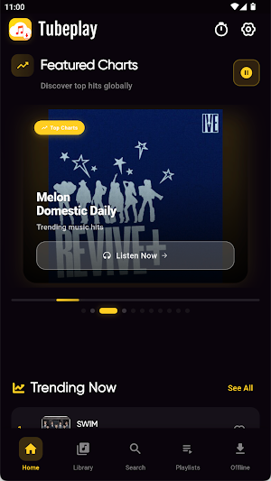 Mp3 Music Downloader tubeplay Screenshot 0