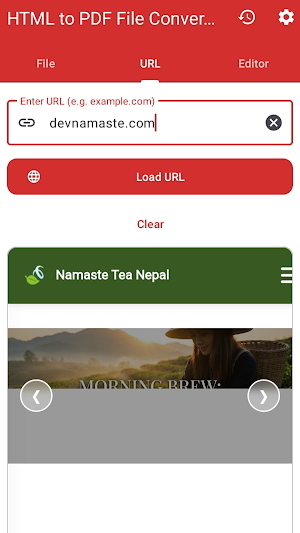 HTML to PDF File Converter Screenshot 3