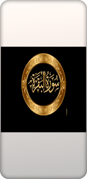 تدبر سورة البقره.م.فاضل سليمان Screenshot 0