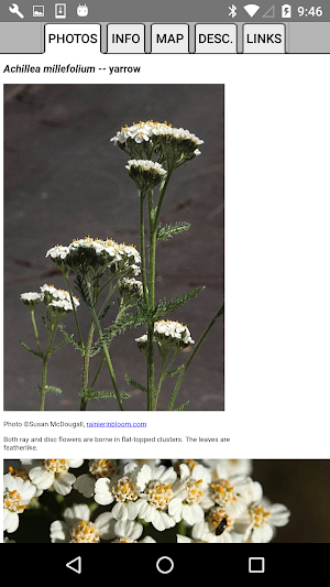 Maryland Wildflowers Screenshot 3