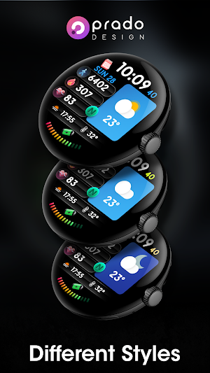 PRADO 67 Digital Watch Face Screenshot 3