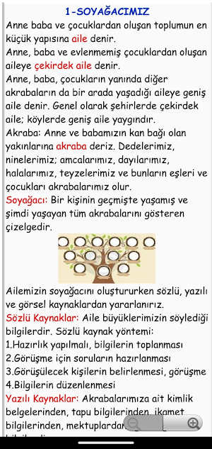 4. Sınıf Tüm Dersler Test Çöz screenshot 4