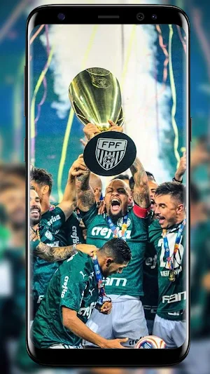 Palmeiras Wallpapers screenshot 6