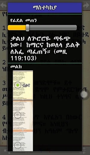 Amharic Bible Screenshot 2