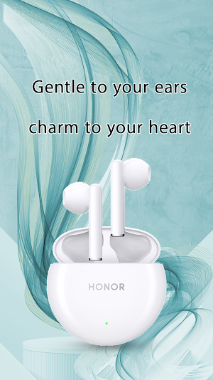 Honor Earbuds X5 Guide Screenshot 3