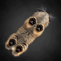 Cat Bottom View Wallpaper