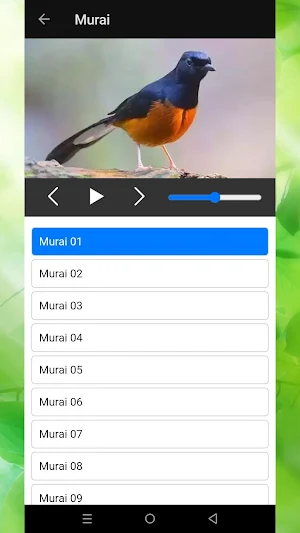 Bird Chirping Sounds Screenshot 3