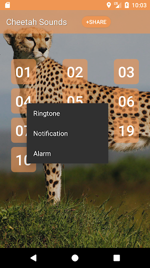 Cheetah (Animal) Sounds Screenshot 1
