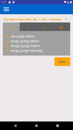 German Adjective Endings Screenshot 0