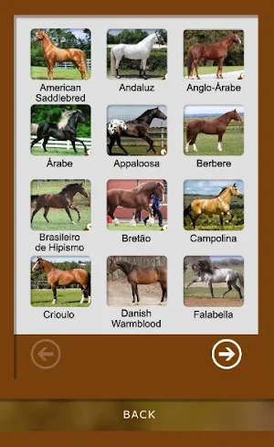 Breed Guide: Horses Screenshot 1