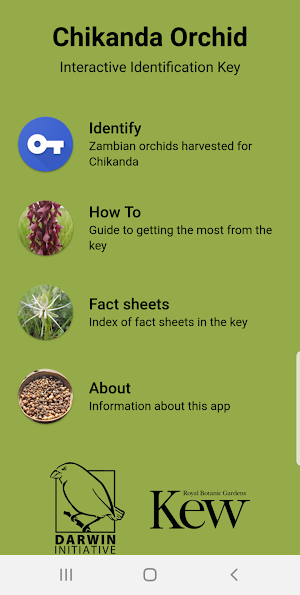 Chikanda Orchid Key Screenshot 1