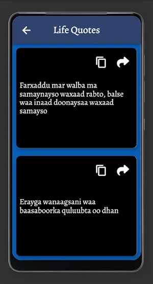 Xikmado Screenshot 2