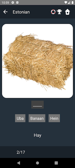 Estonian Language Tests Screenshot 3