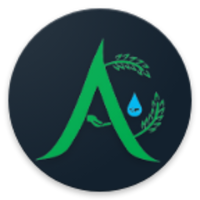 Aelea xBidding