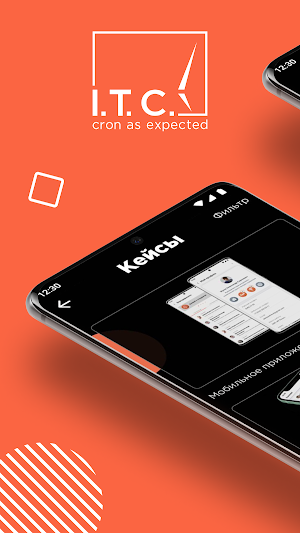 Разработка IT-решений: IT CRON Screenshot 0