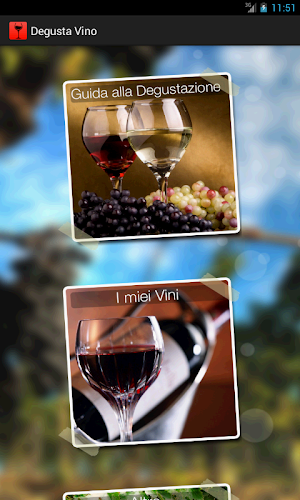 Degusta Vino Screenshot 0