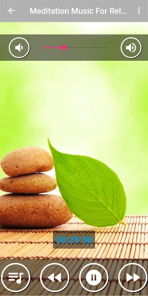 Beautiful Relaxing Music for Stress Relief Screenshot 0