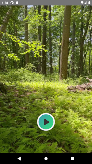 Звуки природы для Релакса Screenshot 2