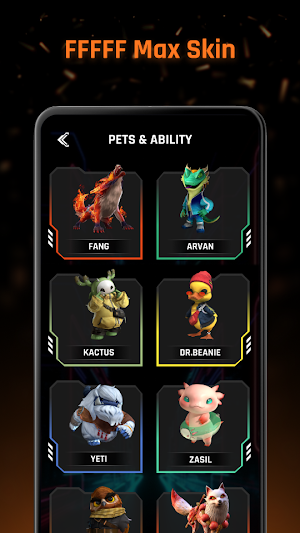 FFFFF Skin Max Tool Screenshot 2