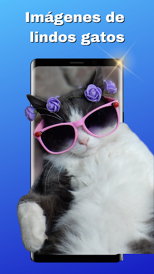 Fondos de Pantalla Bonitos Screenshot 1