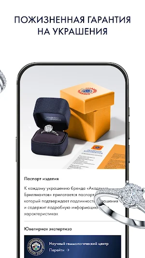 АКАДЕМИЯ БРИЛЛИАНТОВ Screenshot 3