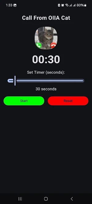 Call from Ui ie ia Cat Spining Screenshot 0