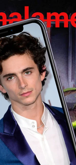 Thimothe Chalamet Wallpaper 4K Screenshot 2