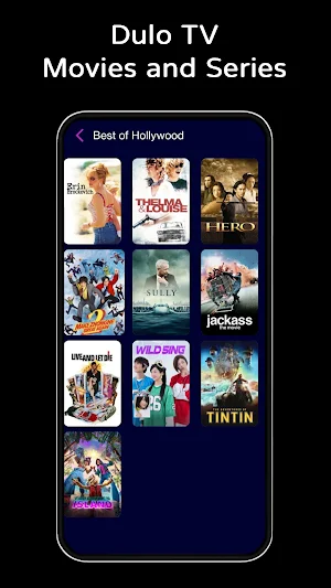 Dulo TV : Movies and Series Screenshot 1