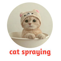 cat spraying