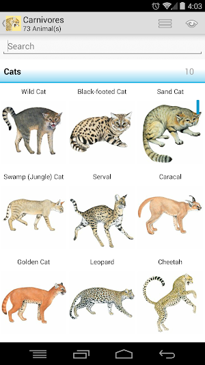 Kingdon Guide: African Mammals Screenshot 2