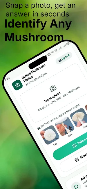 Mushroom Identifier - AI Scan Screenshot 0