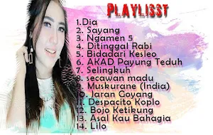 Kumpulan Lagu Via Vallen Screenshot 0