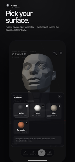 Cranio Head Study Screenshot 3