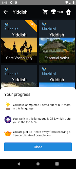 Yiddish Language Tests Screenshot 2