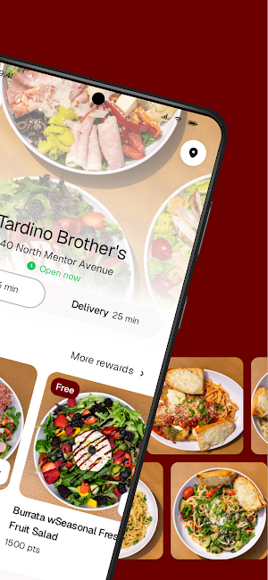 Tardino Brothers Screenshot 1