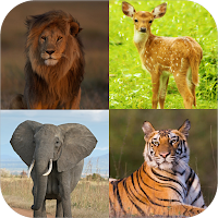 Learn Animals Name and Sound