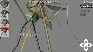 3D Mosquito Explorer Screenshot 0