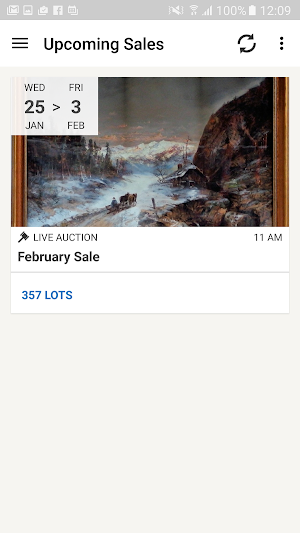 Bruneau & Co Auctioneers Screenshot 0