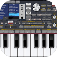Piano ORG 2024