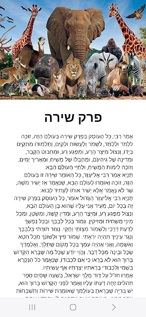 פרק שירה Screenshot 1
