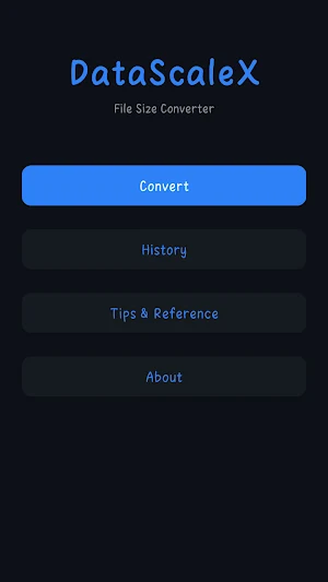 DataScaleX Screenshot 1