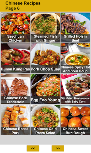 100 Chinese Food Recipes Screenshot 2