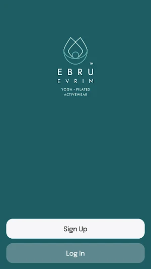 Ebru Evrim Studio Screenshot 0