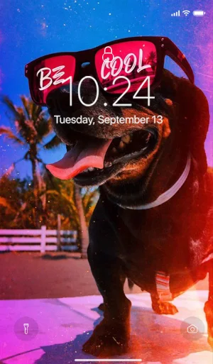 Offline HD Wallpaper Screenshot 1