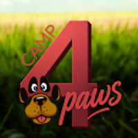4Paws Camp