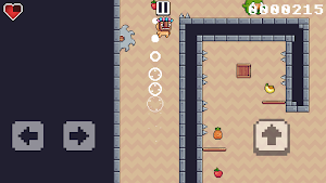 Pixel 2D Platformer Screenshot 2